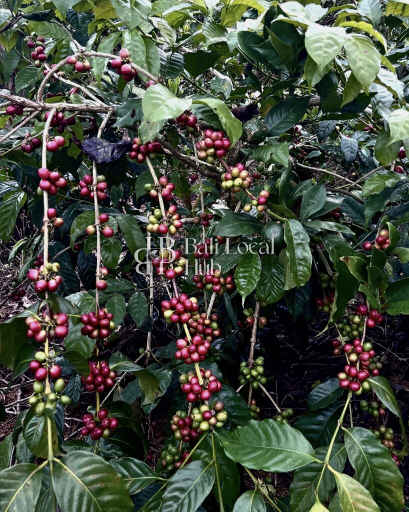 watermark - watermark