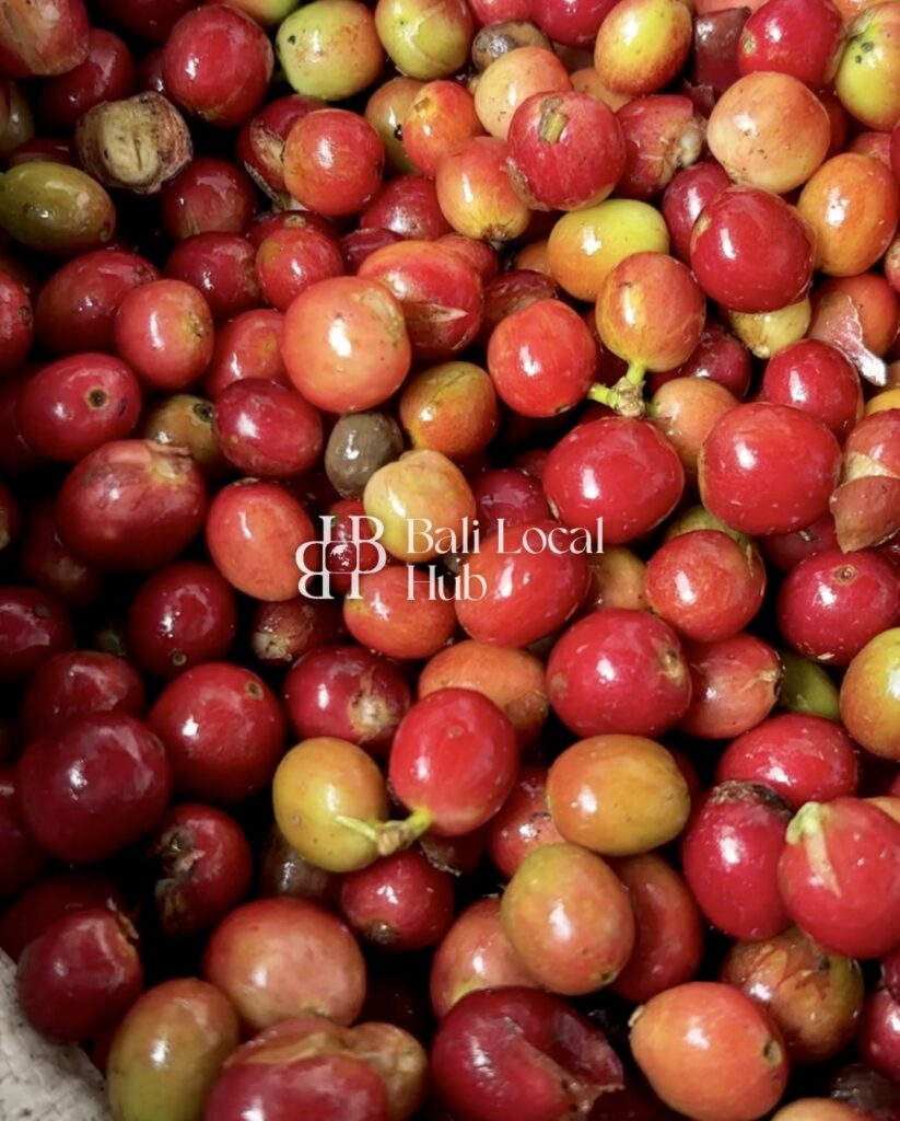 watermark - watermark