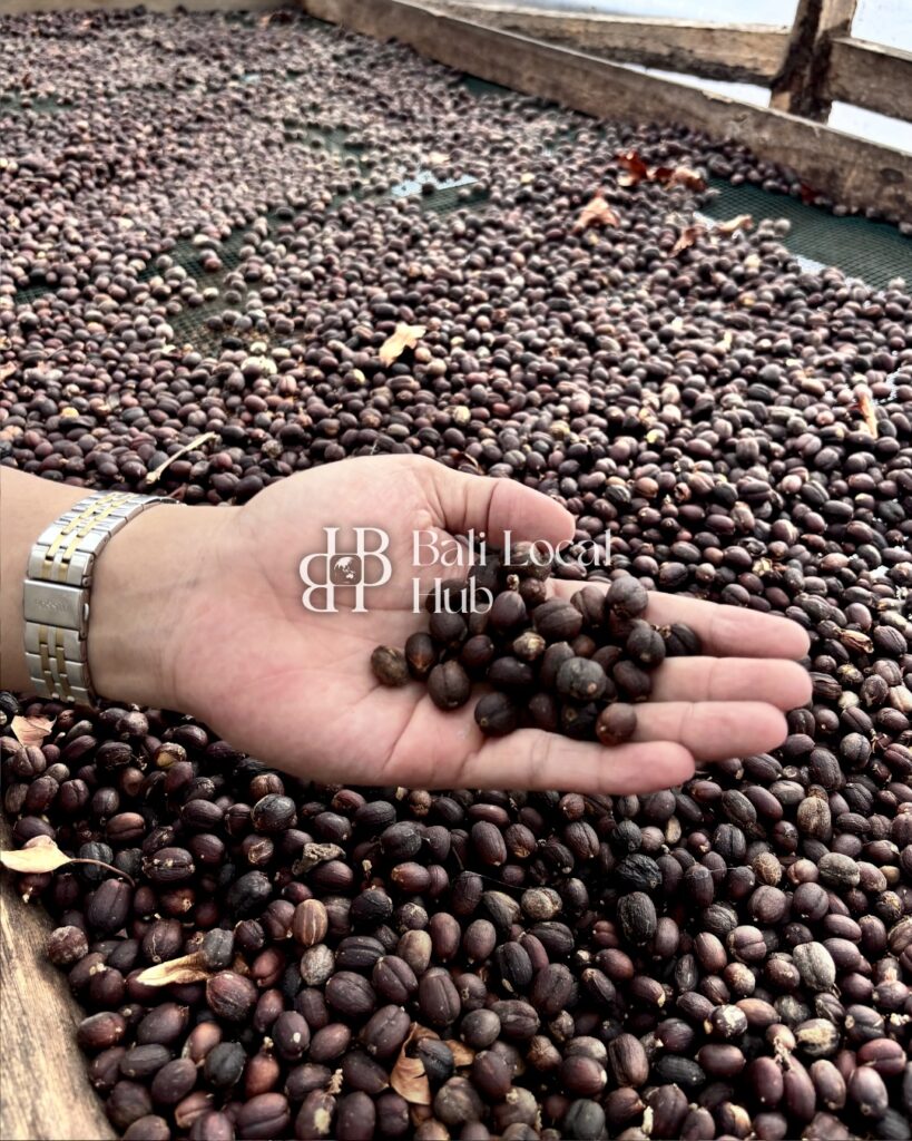 watermark - watermark